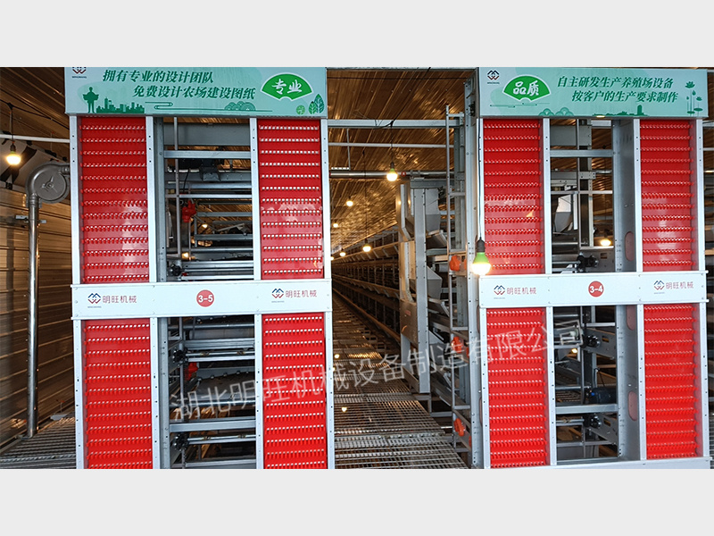 全自動(dòng)撿蛋機(jī)